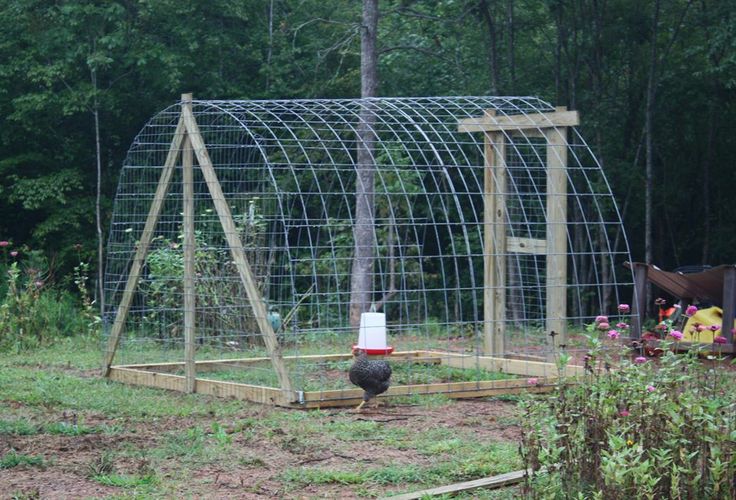 EASY CHICKEN PEN | Chicken coop run, Cattle panels, Chicken pen