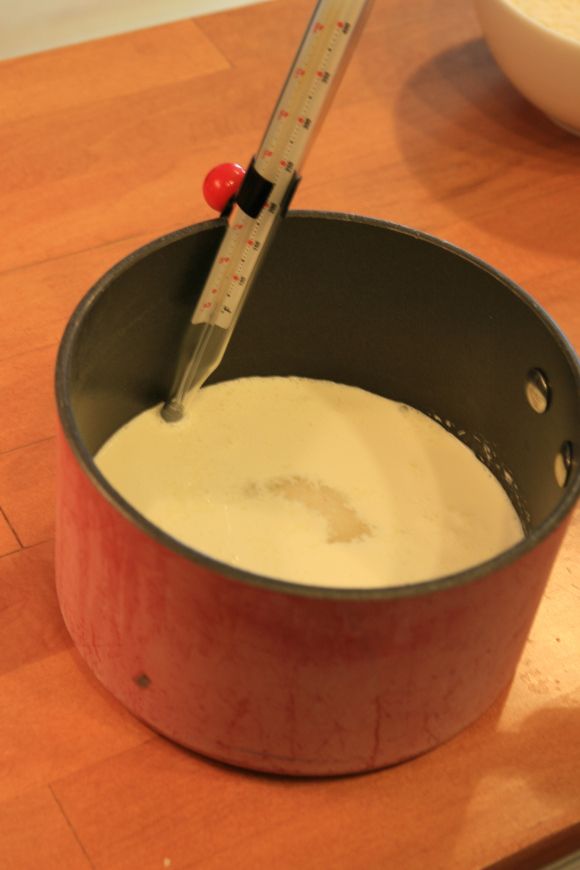 How To Make Coconut Long Boy Candy Scrumptious Desserts Coconut how-to-make-coconut-long-boy-candy-scrumptious-desserts-coconut