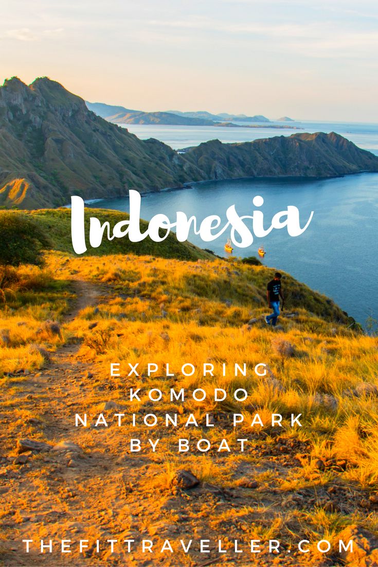 boat trip around komodo island top 25 best komodo ideas on pinterest bali bali trip boat trip around komodo island top 25 best komodo ideas on pinterest bali bali trip