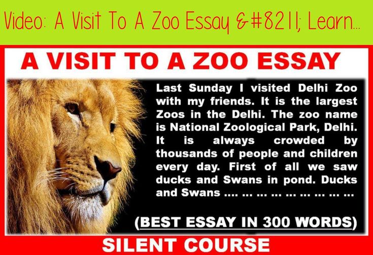 how to start an essay about zoos