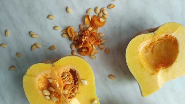 Como Plantar Semillas De Calabaza Siembra Y Cultivo Fácil Semillas De Calabaza Como Plantar Semillas Sopa De Calabaza