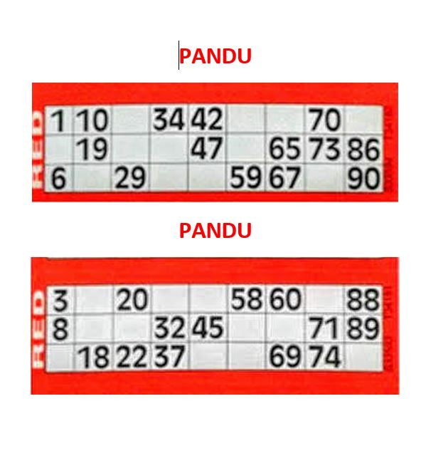 tambola theme gamesholipunjab 5 new games kitty party games