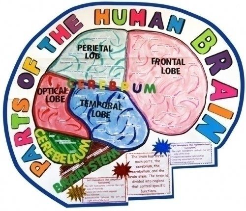 science fair projects posters
