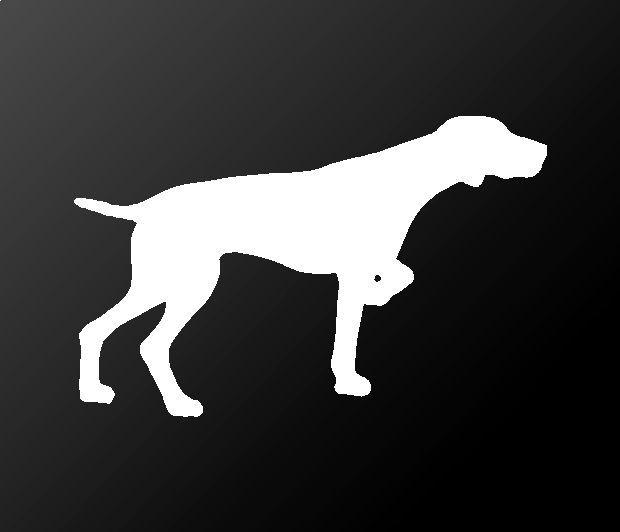 Color Choice HIGH QUALITY Spinone Italiano Vinyl Decal Sticker