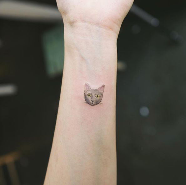 2017 Trend Animal Tattoo Designs Russian Blue Cat Tattoo By Sol Art Dovme 2017 Trend Animal Tattoo Designs Russian Blue Cat Tattoo By Sol Art Dovme