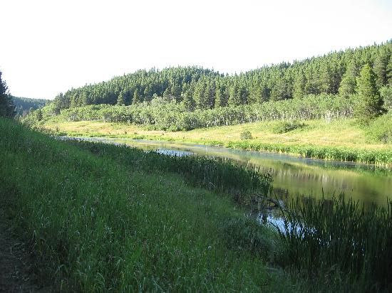 13 Best Maple Creek Saskatchewan Images On Pinterest Cypress Hills Interprovincial Park Maple Creek Picture Highland Trail Valley Check Out Tripadvisor
