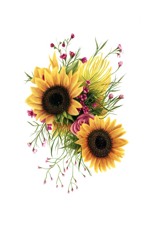 Natural Colored Pencil Colors Natural Colored Pencil Colors
