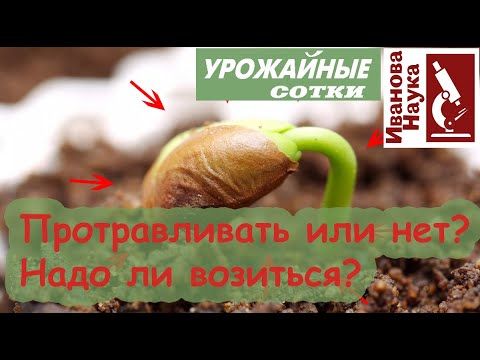 Где можно заказать семена марихуаны в казахстан Где можно заказать семена марихуаны в казахстан тор браузер не законен hydra2web
