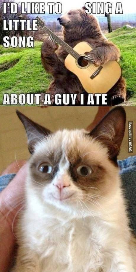 best 20 funny grumpy cats ideas on pinterest no signup required 885f24334966727bb937bb718dccaa60 funny grumpy cats grumpy cat quotes best 20 funny grumpy cats ideas on pinterest no signup required,Top 10 Song Memes