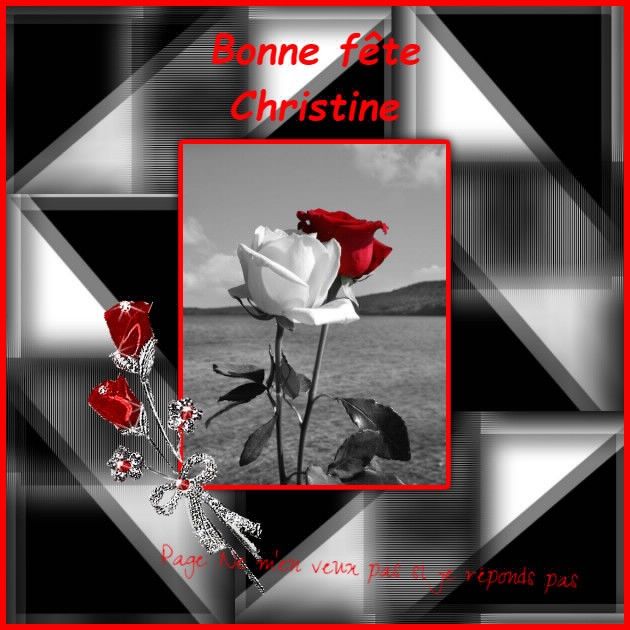 Christine Fete Christine Bonne Journee Humour Bonne Fete Christine Fete Christine Bonne Journee Humour Bonne Fete