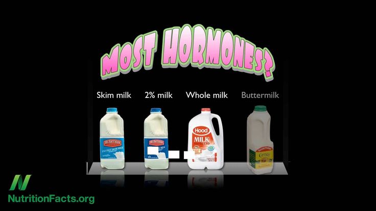Best Food For Lactating Cows Best Food For Lactating Cows