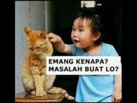 82 Gambar Lucu Video Terbaik 82 Gambar Lucu Video Terbaik