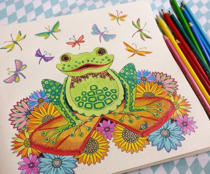 Frog Enchanted Forest Sapo Floresta Encantada Johanna Basford Adult ColoringColoring BooksColouringJohanna