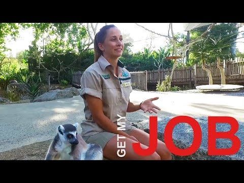 job for me zoo to you job for me zoo to you
