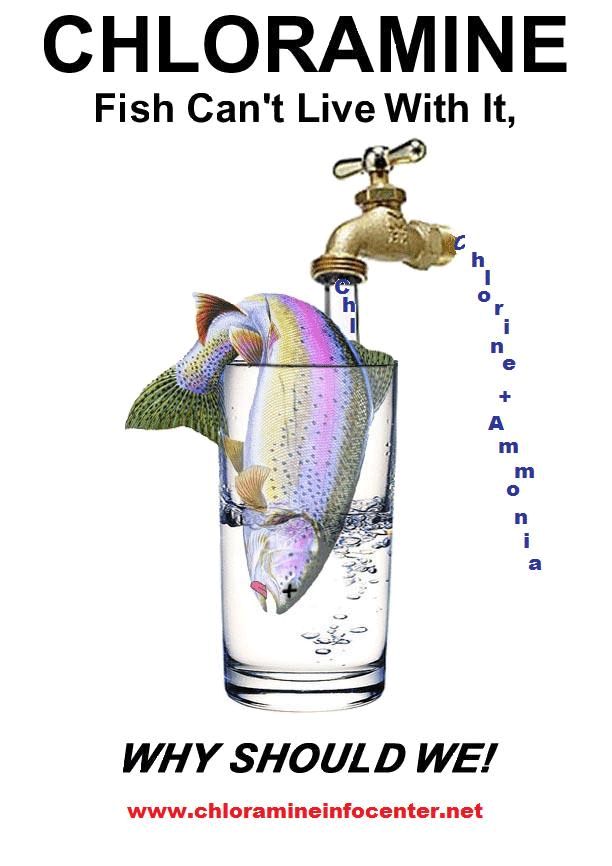 Dangers Of Chloramines In Drinking Water Dangers Of Chloramines In Drinking Water