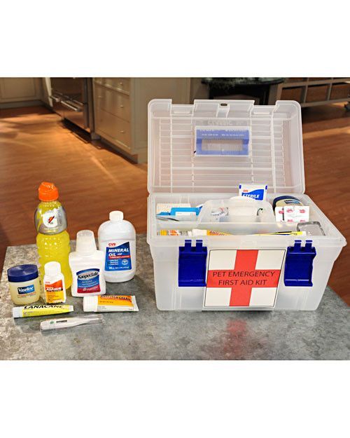 Can You Use Triple Antibiotic Ointment On Dogs Eyes Can You Use Triple Antibiotic Ointment On Dogs Eyes
