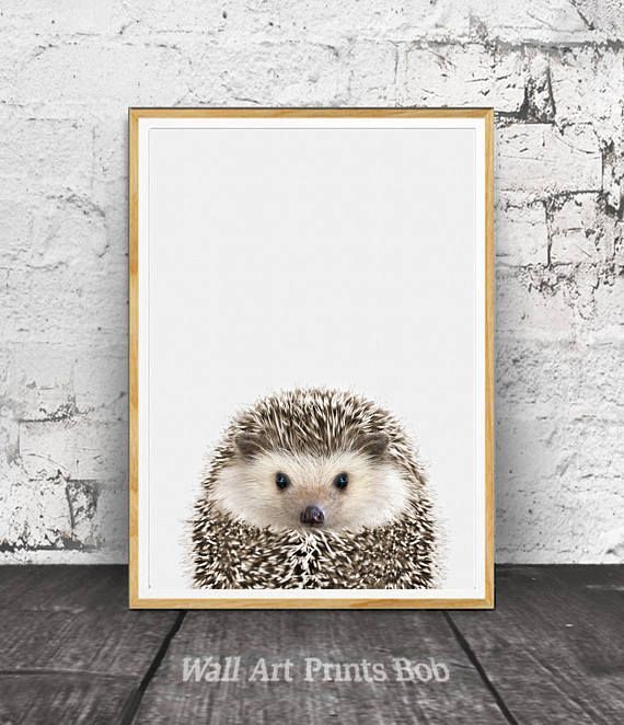 printable baby animal hedgehog wall decor hedgehog nursery print baby animal digital download BABY ANIMAL PRINT hedgehog baby animal