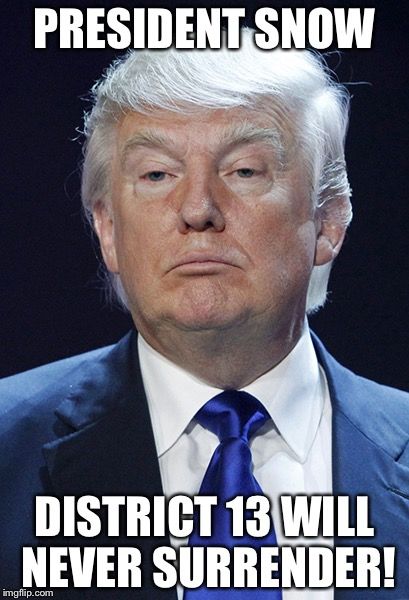 best 25 trump hunger games meme ideas that you will like on 892d379a04442490d220957611cbab8f the hunger game hunger games best 25 trump hunger games meme ideas that you will like on,Games Funny Memes