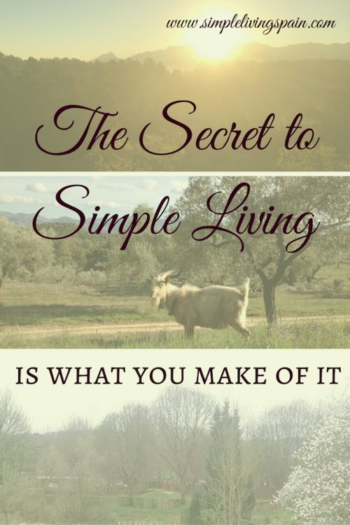 Back to basics living off the land