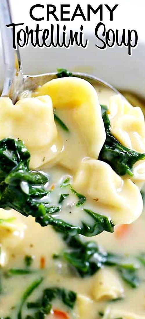 Mar 20, 2020 – Tortellini Soup – Delicious soup packed with cheesy tortellini and fresh spinach. Pure comfort food ready… Mar 20, 2020 – Tortellini Soup – Delicious soup packed with cheesy tortellini and fresh spinach. Pure comfort food ready…