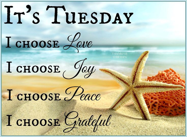 #tuesday #motivation | Happy tuesday quotes, Tuesday quotes, Happy