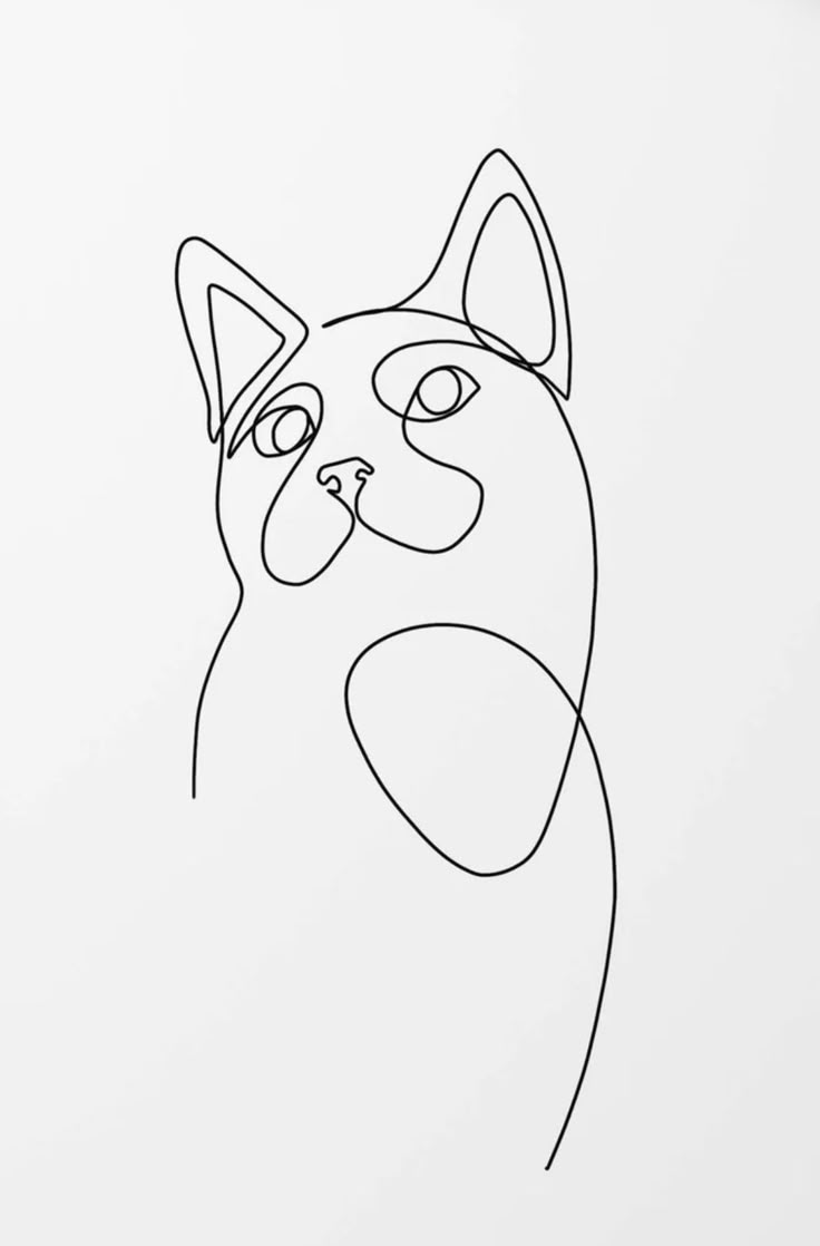 A Line Drawing Of A Cat s Face On A White Paper With Black Ink a-line-drawing-of-a-cat-s-face-on-a-white-paper-with-black-ink