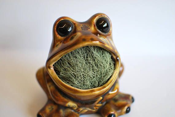 Koala Planter Sponge Holder