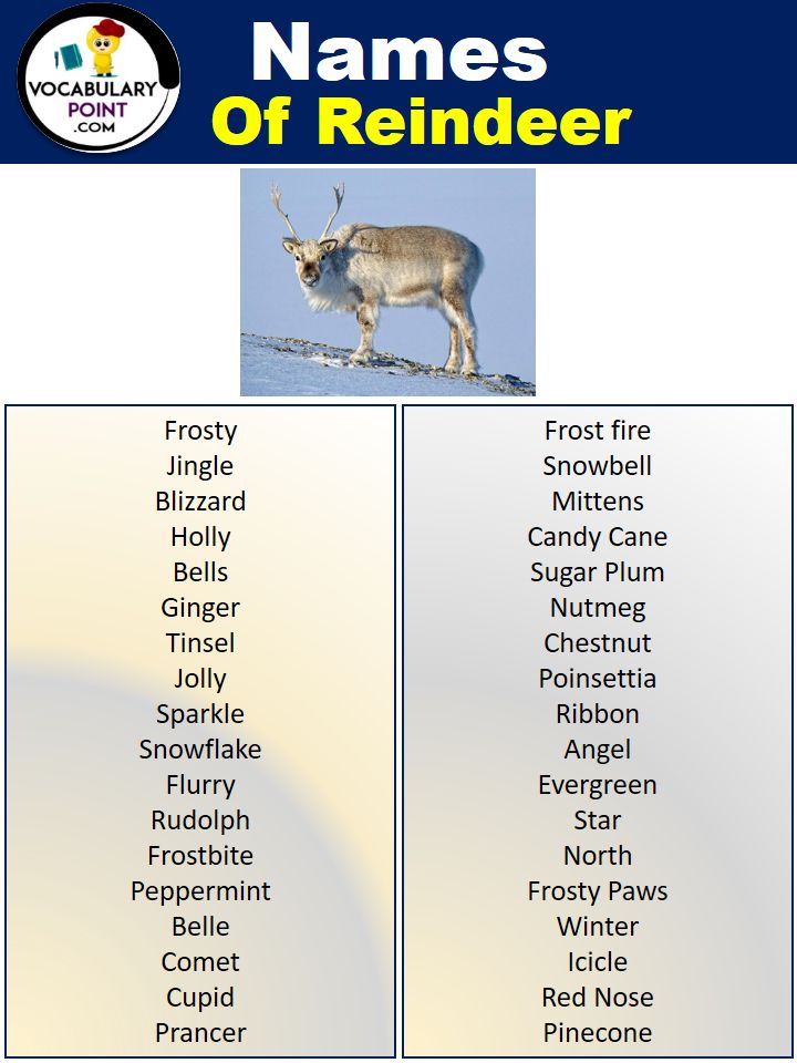 Unique and Creative Reindeer Names: A Comprehensive List of 500+ Options