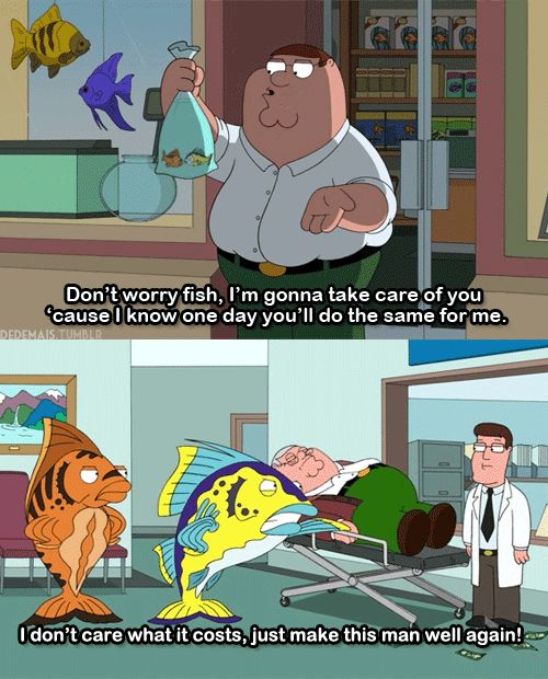 I don't care what it takes!! | Family guy quotes, Family guy funny