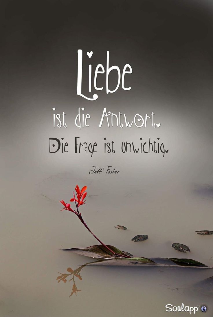 Zitate bekanntschaften