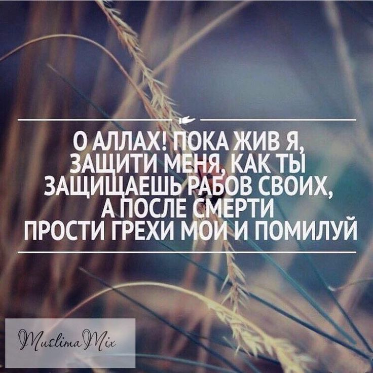 картинки с надписью прости аллах фёрби