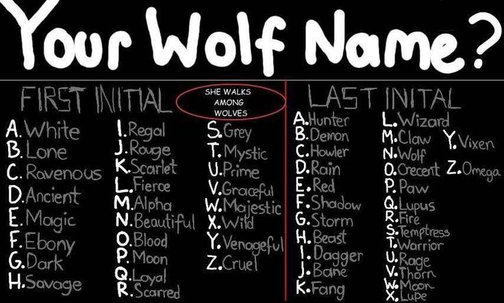 List Of Funny First And Last Names Funny PNG List Of Funny First And Last Names Funny PNG