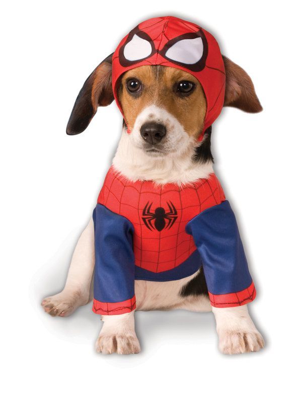 Spiderman Costume For Pet Dog Costumes Funny Pet Costumes Man