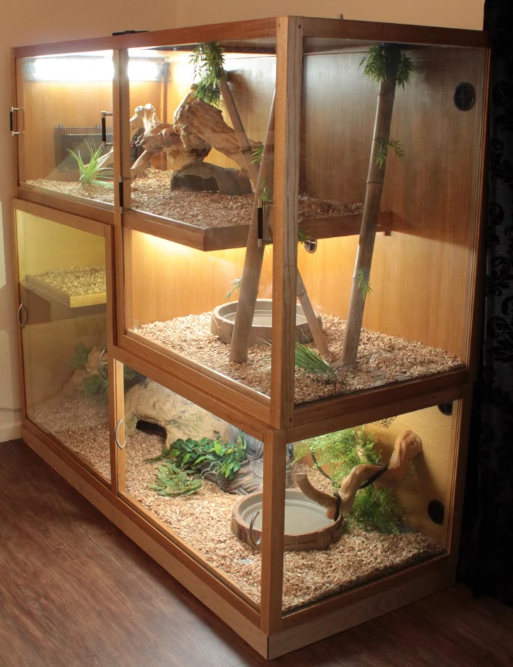 25+ Best Reptile Enclosure Ideas On Pinterest Home Lizard 75664d1359223318-2-large-interlocking-vivarium-2.jpg (2099× - 25+ Best Reptile Enclosure Ideas On Pinterest Home Lizard