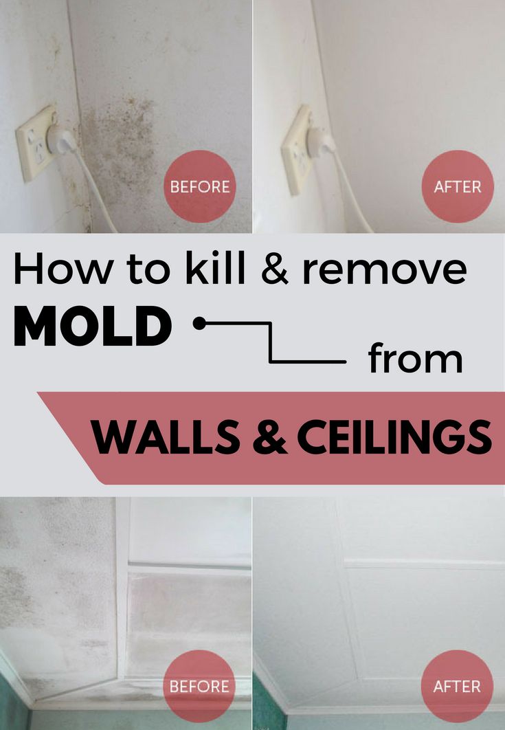 DIY-How-To-Get-Rid-Of-Mold-In- DIY-How-To-Get-Rid-Of-Mold-In-
