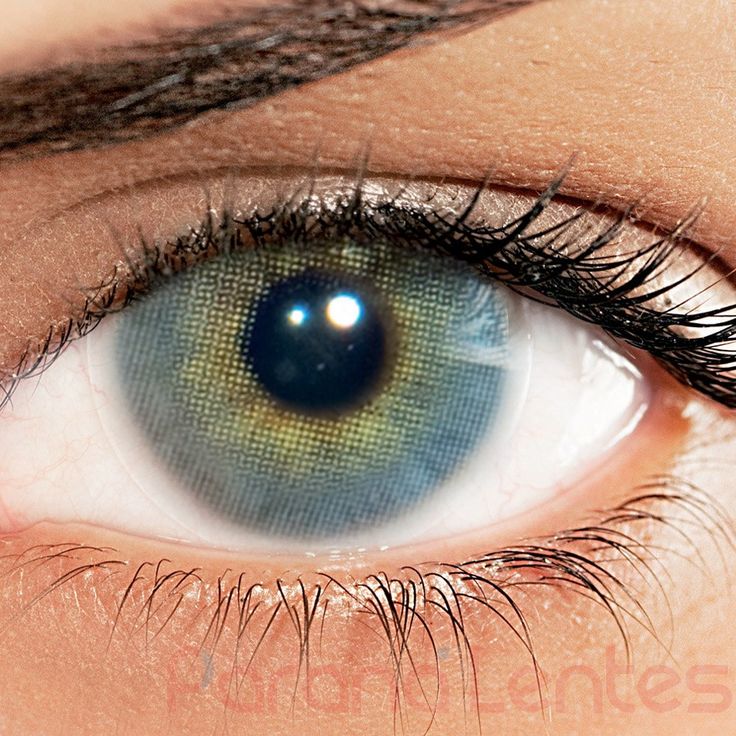 Most Natural Looking Colored Contacts Brand Most Natural Looking Colored Contacts Brand
