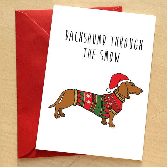 best 25 funny christmas cards ideas on pinterest diy daschund christmas ornament