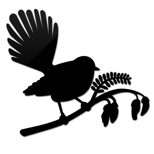 49 best fantail images on pinterest birds new zealand 49 best fantail images on pinterest birds new zealand