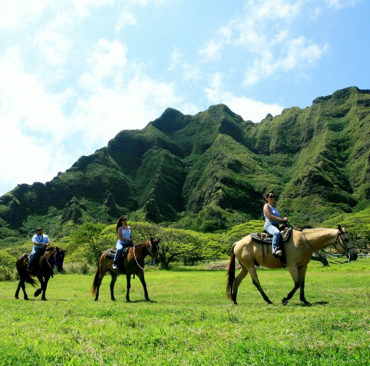 Horseback Riding Waimea Big Island Horseback Riding Waimea Big Island