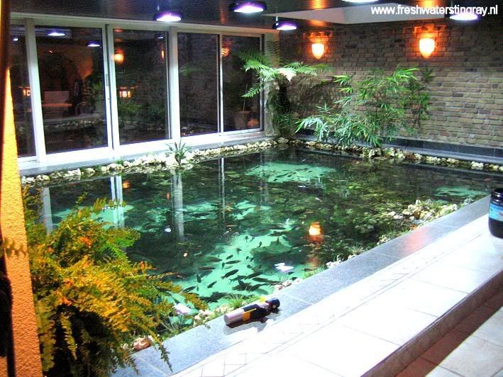 inspirations modern indoor fish pond design to decoration your home modern indoor koi fish pond designs ideas - Cool Indoor Pools With Fish inspirations modern indoor fish pond design to decoration your home modern indoor koi fish pond designs ideas - Cool Indoor Pools With Fish