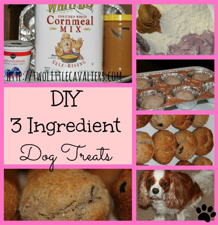 How to Make Your Own Blueberry Peanut Butter Dog Treats