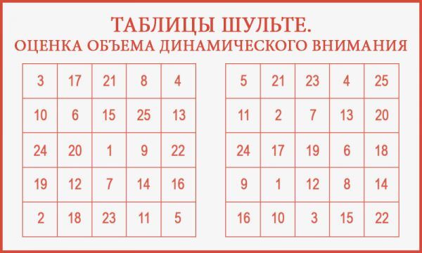 Предназначение таблиц Шульте и методика проведения диагностики с их помощью сред