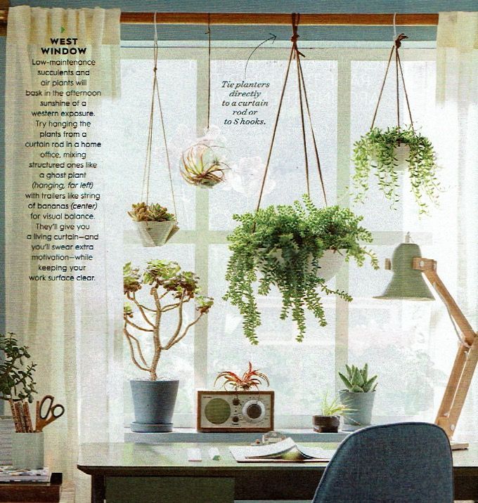 West window hang plants from a curtain rodcurtain hang plants rod