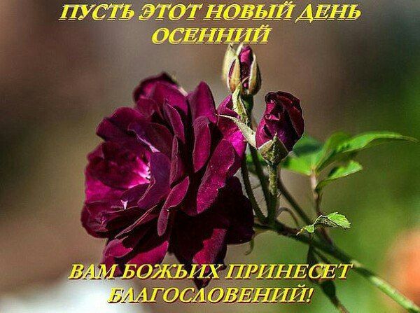 Благословение картинки с добрым утром