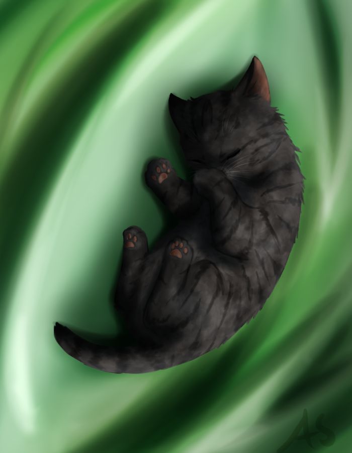 Fluff On The Table Warrior Cats Fan Art Warrior Cats Warrior Cat