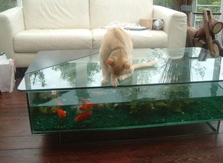 best 25+ coffee table aquarium ideas only on pinterest | fish tank best 25+ coffee table aquarium ideas only on pinterest | fish tank