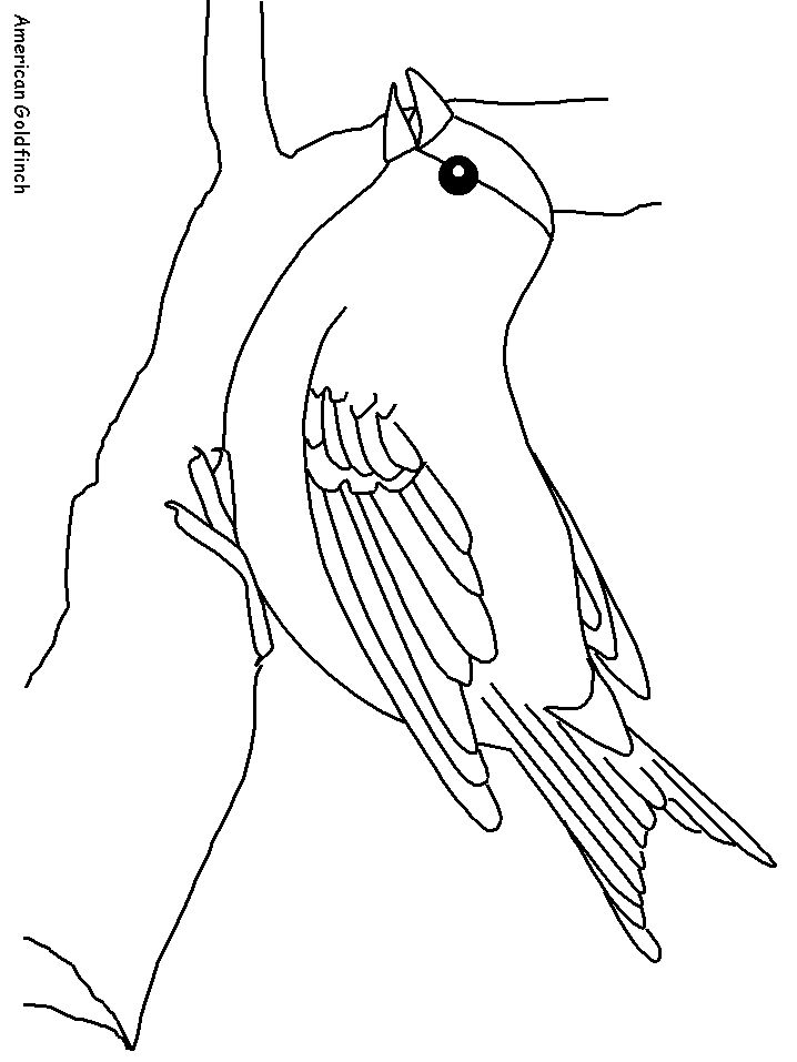 Coloring Page Place Ariel Coloring Shape Coloring Pages Animal Coloring Pages Coloring Pages