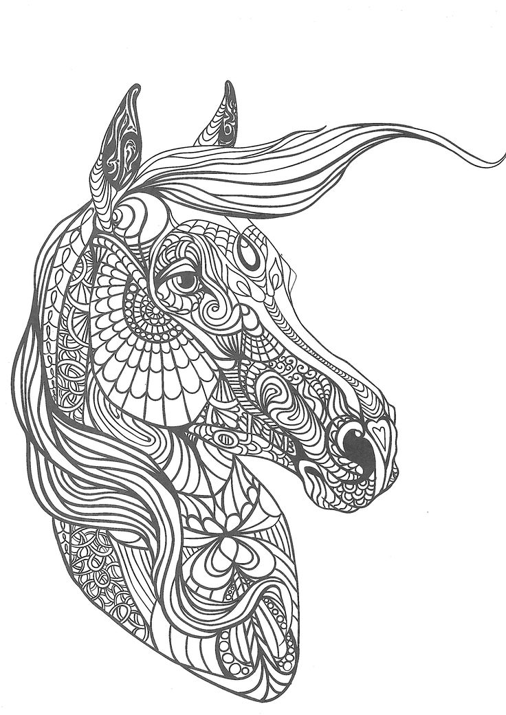лошадь jpg рисунки рисунки для раскрашивания лошади printable animal coloring pages for adults