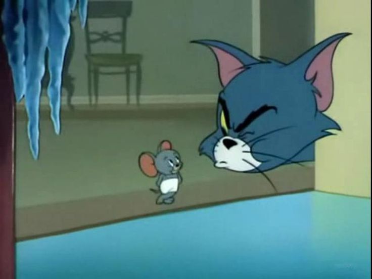 tom and jerry cartoon epiosde