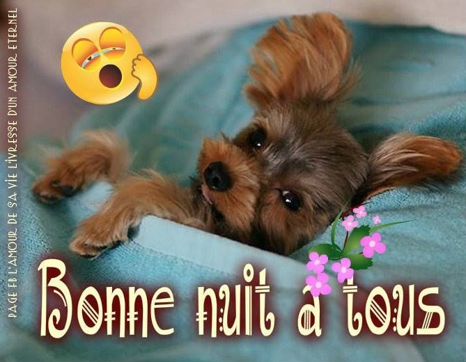 Téléchargement gratuit Images Bonne Nuit Image 4860 Bonne Nuit A Tous Chiens Chiot le plus cool par